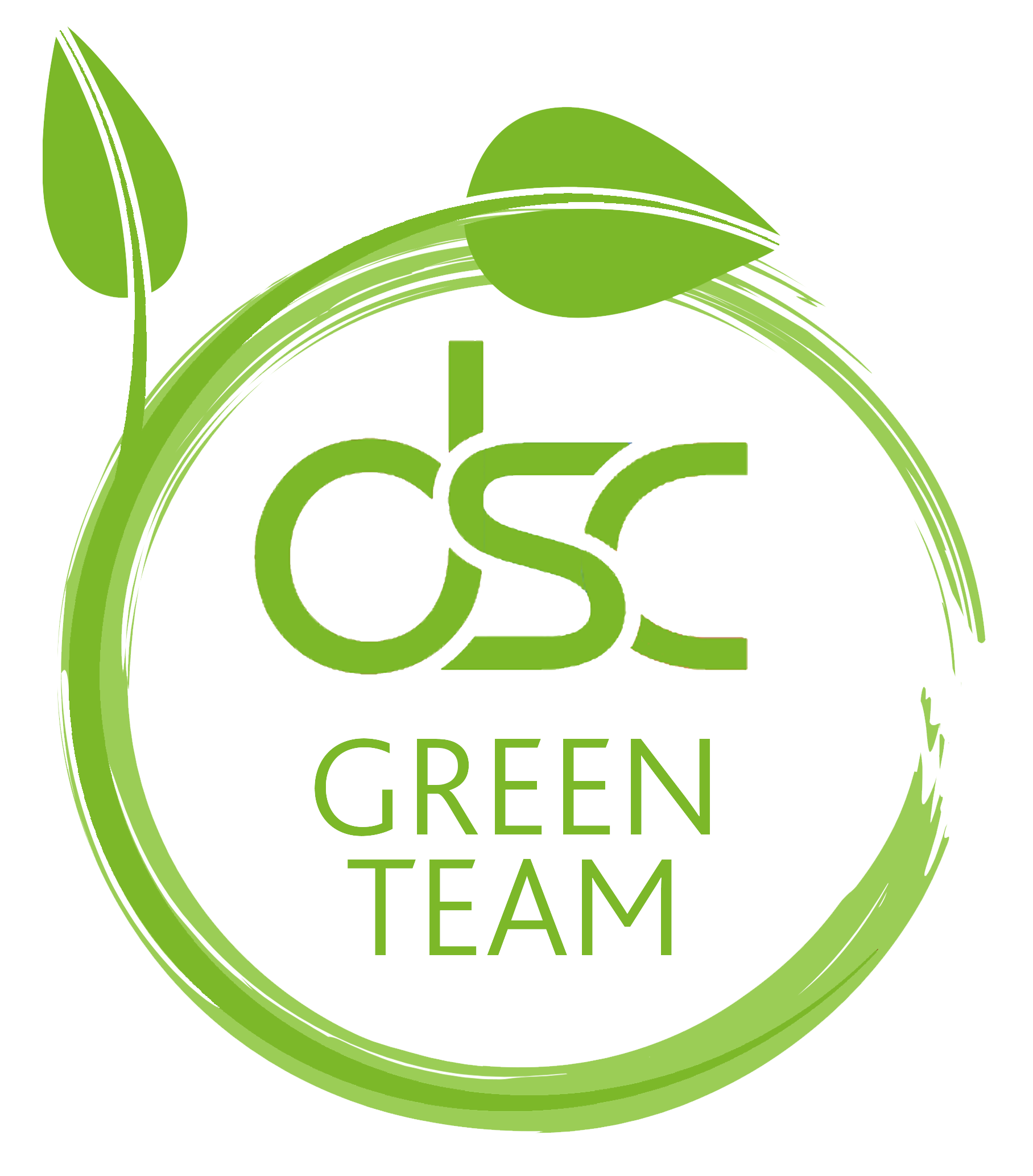 dsc green team logo